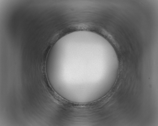 X0000072540161200607141045