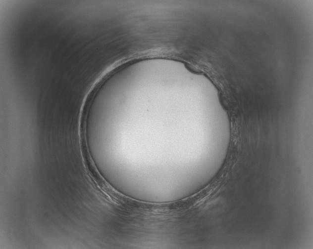 X0000072540196200607141045