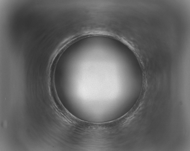 X0000072540199200607141045