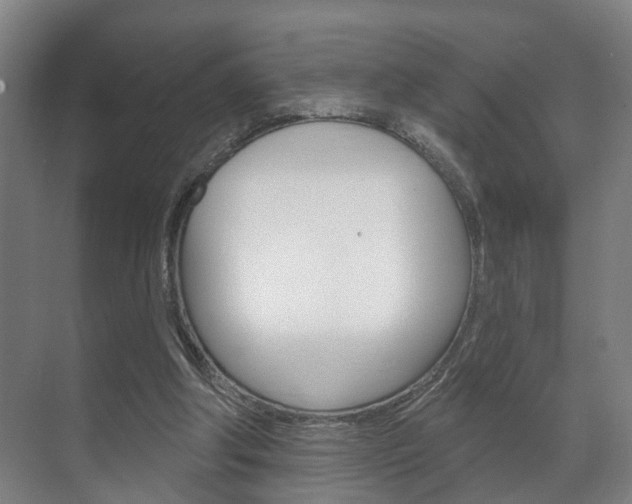 X0000072540202200607141045