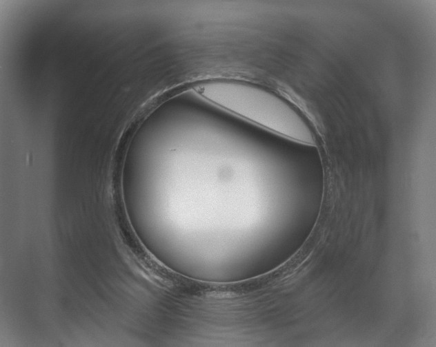 X0000072540203200607141045