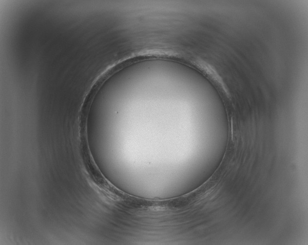 X0000072540204200607141045