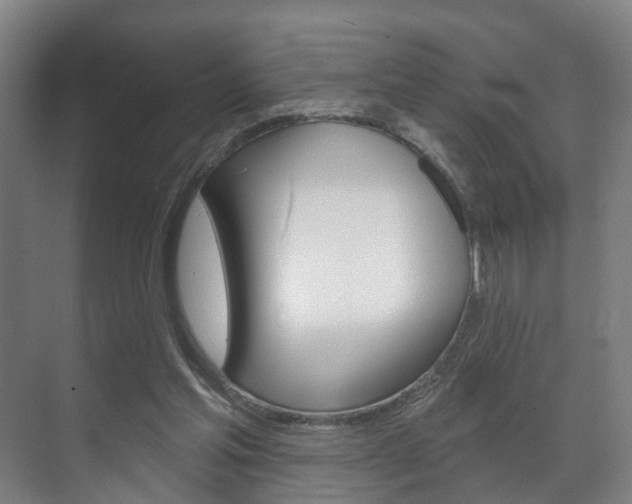 X0000072540205200607141045