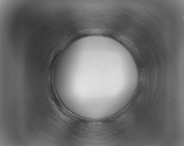 X0000072540206200607141045