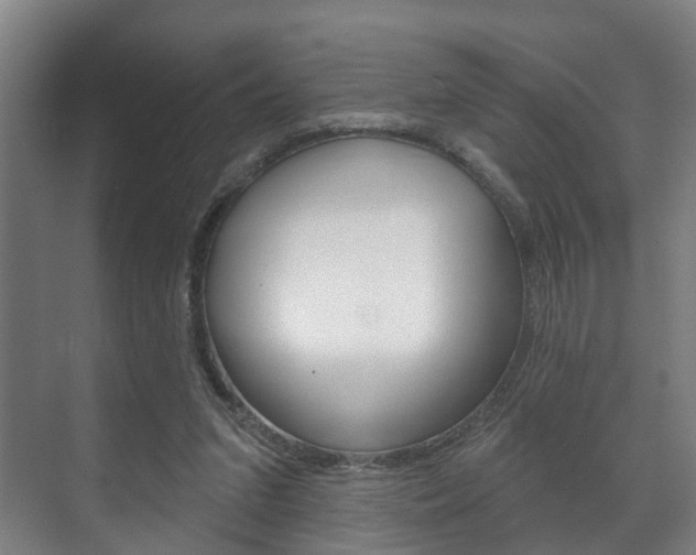 X0000072540207200607141045