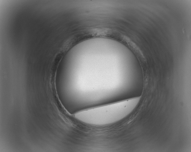 X0000072540209200607141045