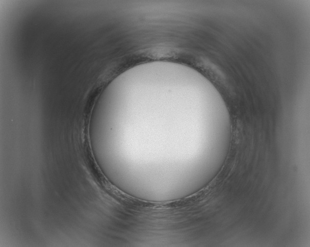 X0000072540210200607141044