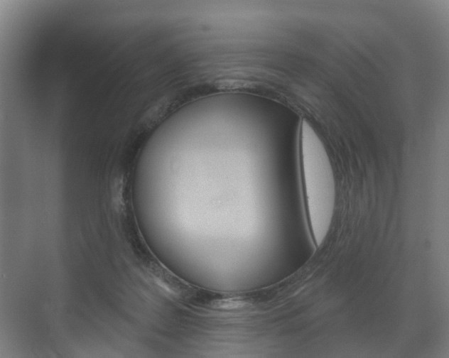 X0000072540219200607141044