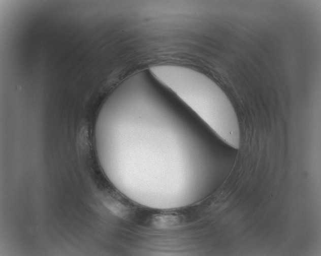 X0000072540220200607141044