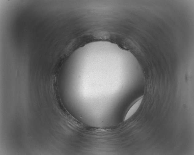 X0000072540229200607141044