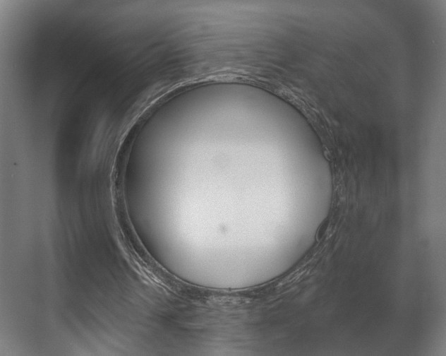 X0000072540242200607141043