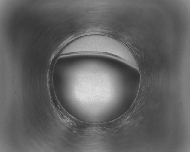 X0000072540244200607141043