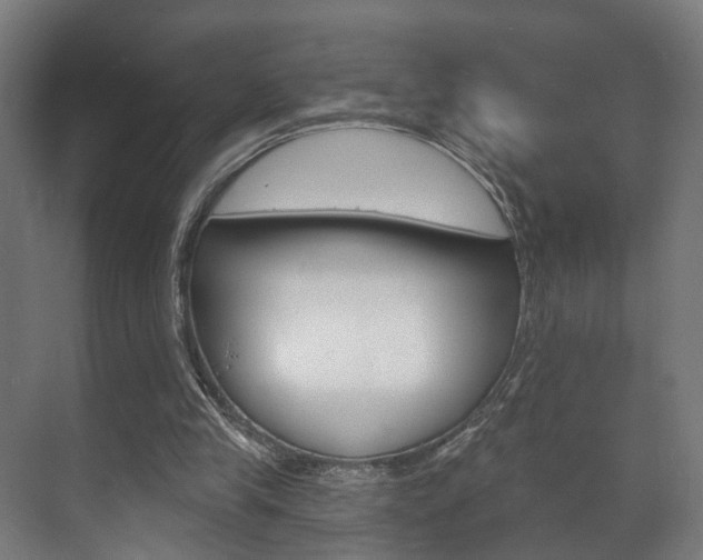 X0000072540245200607141043