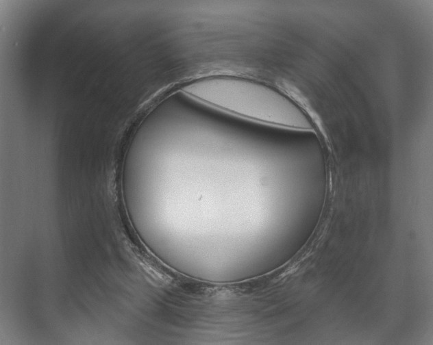 X0000072540249200607141043