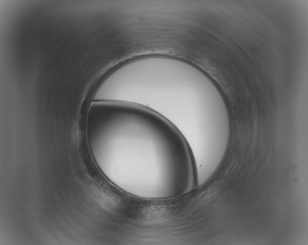 X0000072540252200607141043