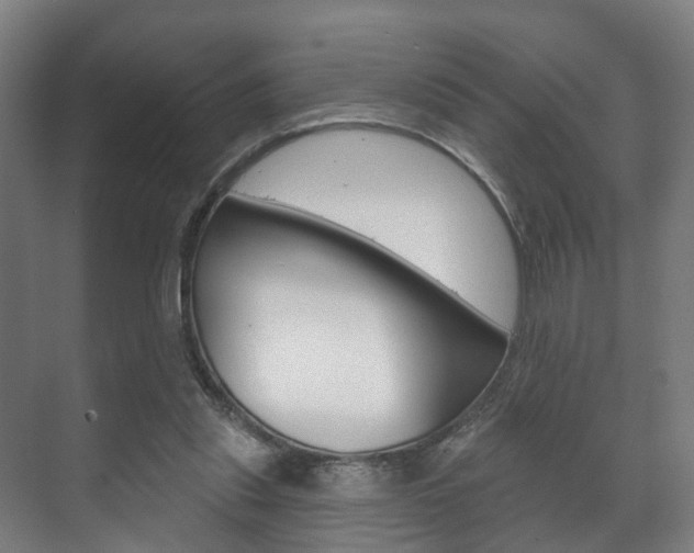X0000072540253200607141043