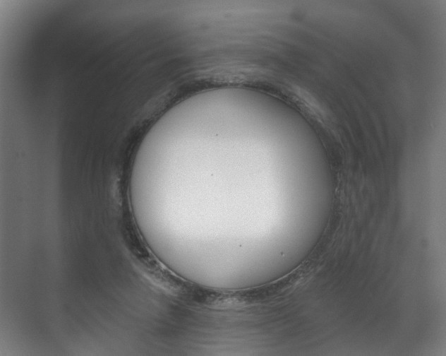X0000072540258200607141043