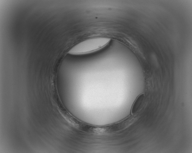 X0000072540265200607141044