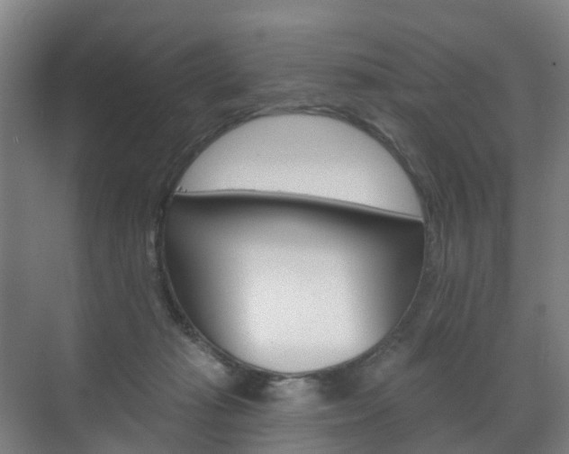 X0000072540269200607141044