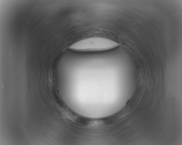 X0000072540274200607141044