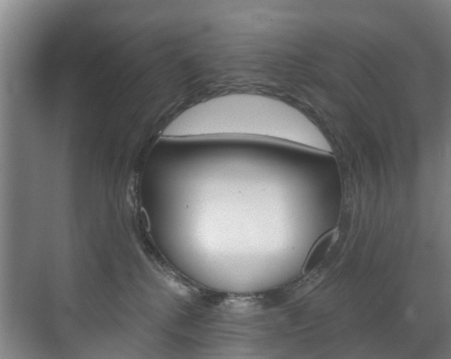 X0000072540280200607141044