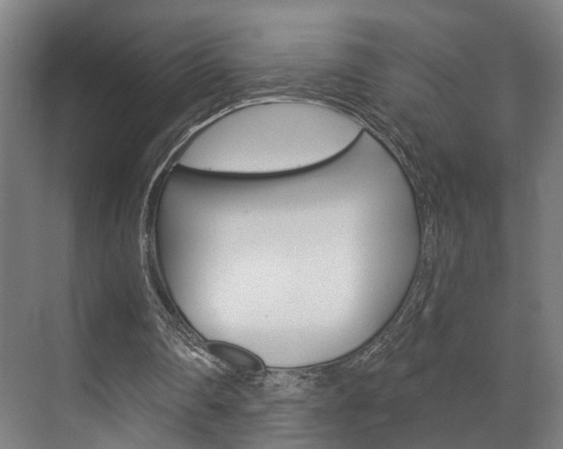 X0000072540290200607141043
