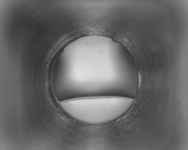 X0000072540291200607141043
