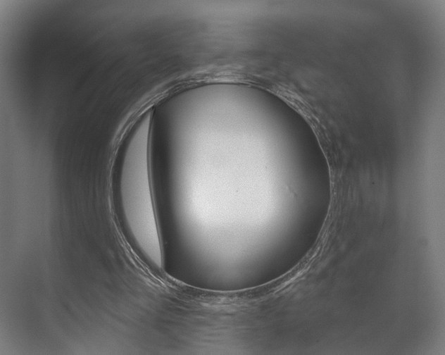 X0000072540293200607141043