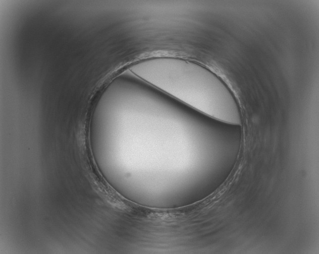 X0000072540297200607141043
