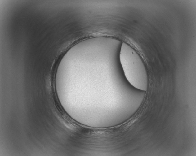 X0000072540298200607141043