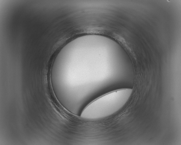 X0000072540299200607141043