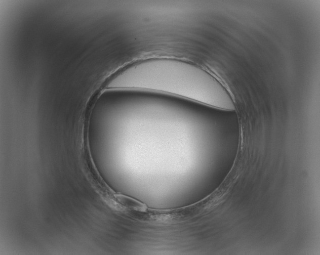X0000072540301200607141043