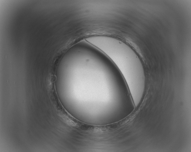 X0000072540305200607141043