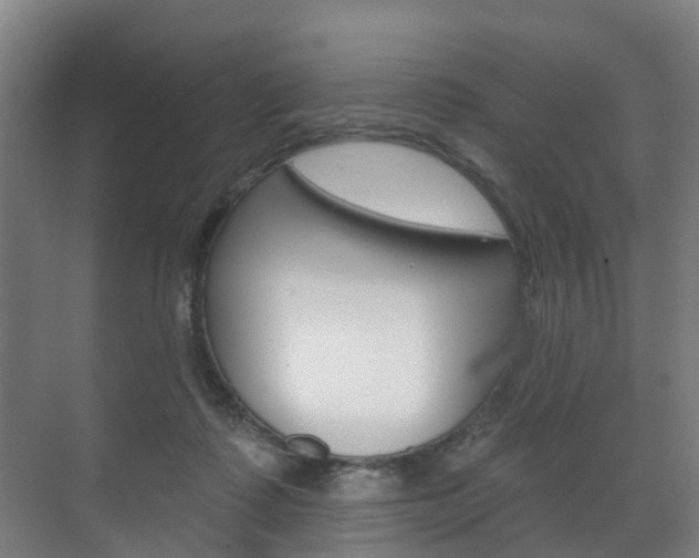 X0000072540315200607141043