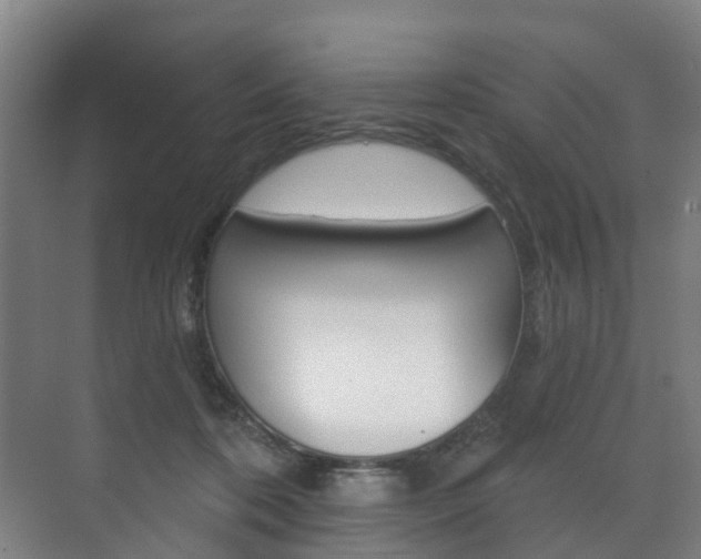 X0000072540316200607141043