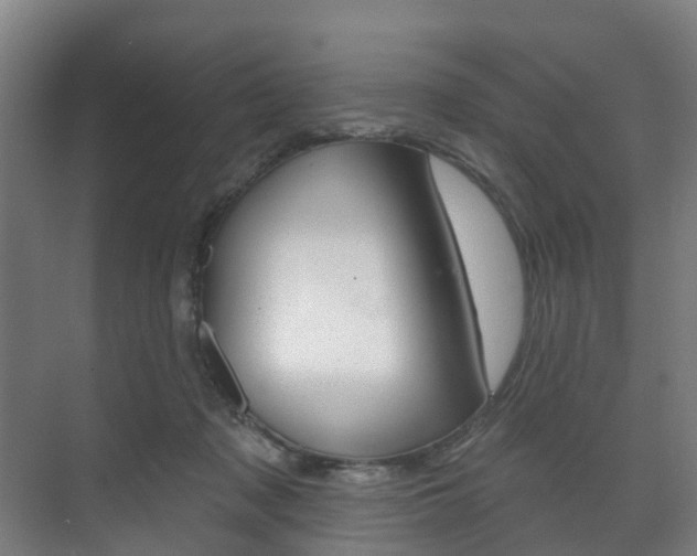 X0000072540317200607141043