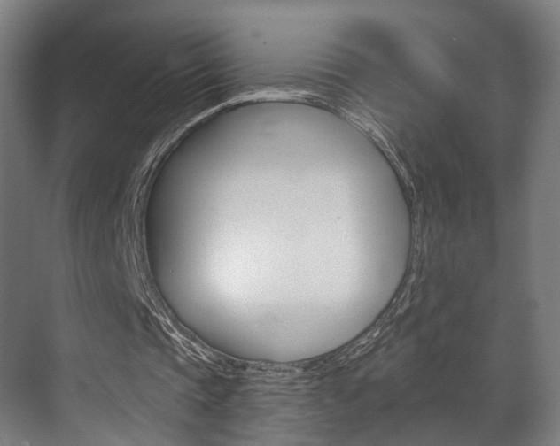 X0000072540337200607141042