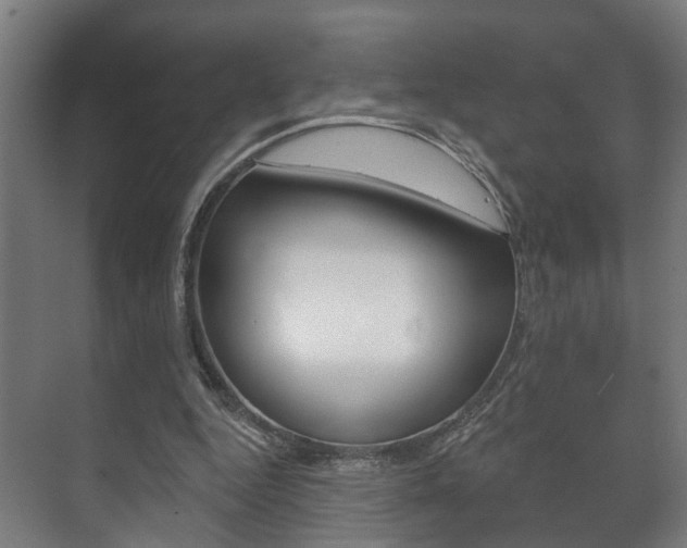 X0000072540344200607141042