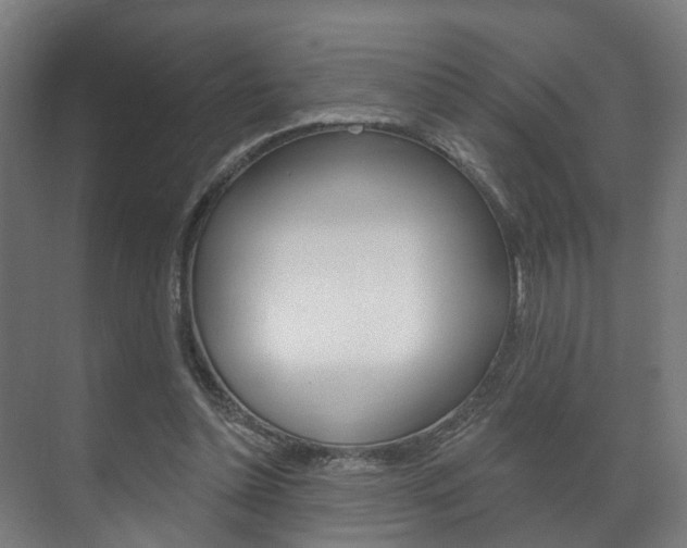 X0000072540348200607141042