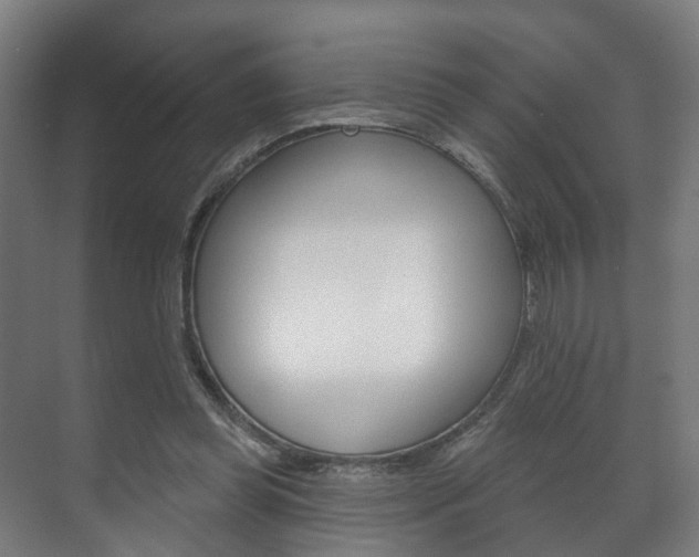 X0000072540349200607141042
