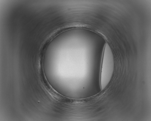X0000072540350200607141042