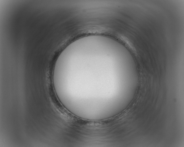 X0000072540354200607141042