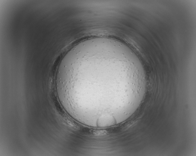 X0000072540355200607141042