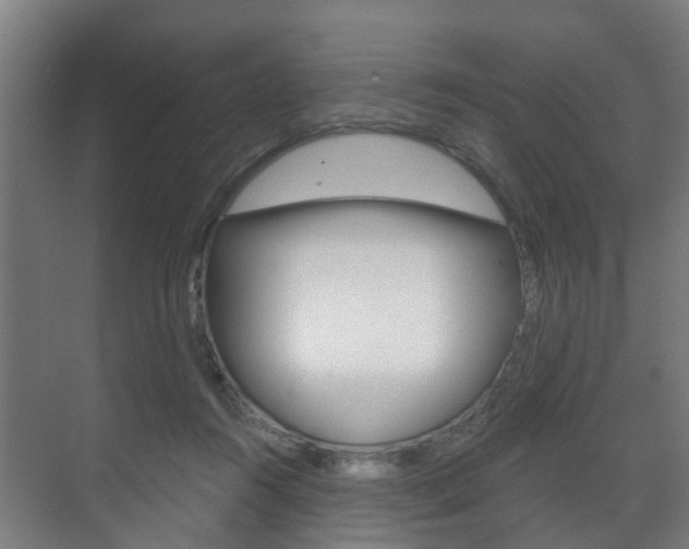 X0000072540360200607141042