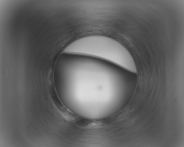 X0000072540364200607141042