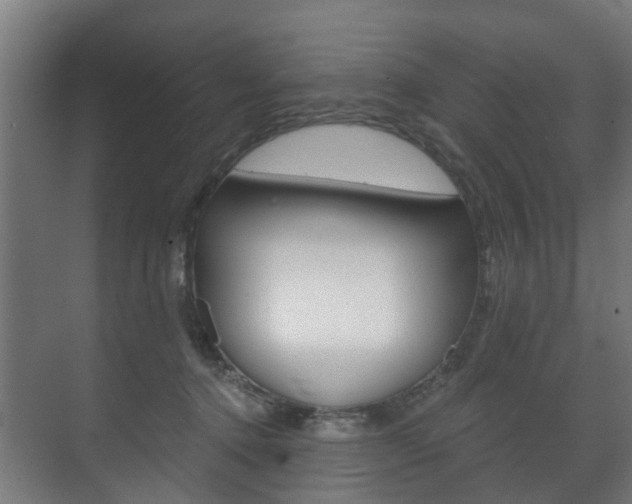 X0000072540368200607141042