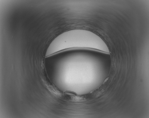 X0000072540380200607141042