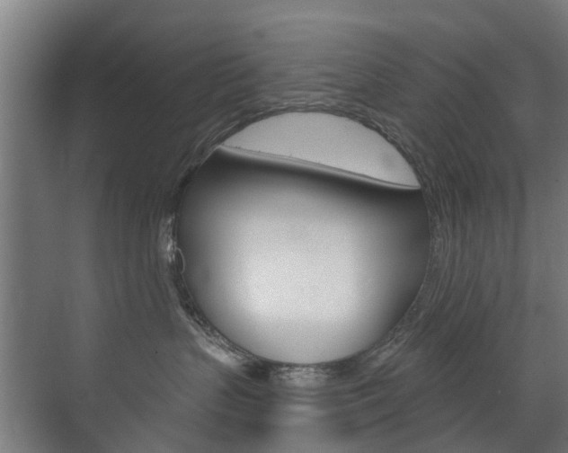 X0000072540383200607141042