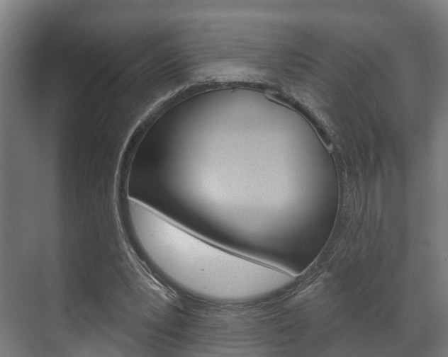 X0000072540391200607141041