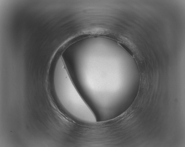 X0000072540392200607141041